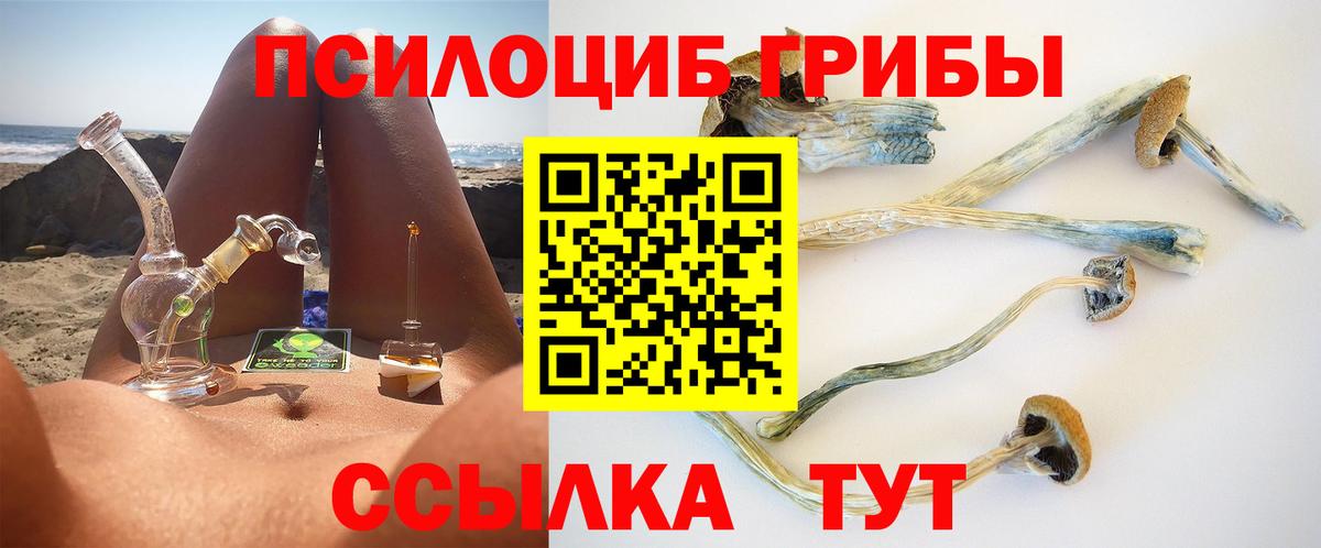 Боровичи  Галлюциногенные грибы Psilocybine cubensis  Вход с VPN  Псилоцибиновые грибы мицелий 